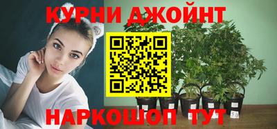 мяу мяу мука Беслан