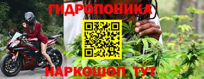скорость Бийск