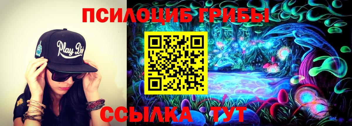Галлюциногенные грибы ЛСД  Вход с VPN  Заводоуковск  где продают наркотики  Галлюциногенные грибы Cubensis 